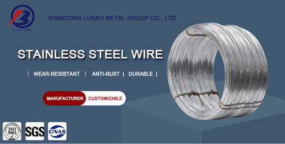 SUS 0,13mm-3mm 304L/430/316/316L roestvrijstalen draad met hoge kwaliteit en No.1 oppervlakteafwerking