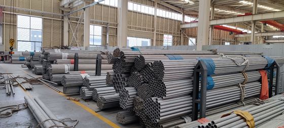 ASTM AISI 304 316 409 12 inch Sch100 naadloos roestvrij staal buis met niet-geoliede afwerking