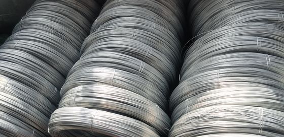 Perfecte detailhandel 1mm-16mm fijn gegalvaniseerd draad met 10g zinkcoating-Q195/Q235/SAE1006-1008-op maat gemaakte diameter